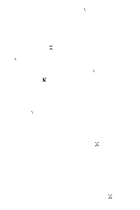 H�herentwicklung eines Hyperzyklus' (Abb. 2)